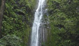 images/gallery/sedudo1/Sedudo_Waterfall_12.jpg